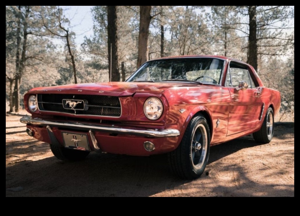 Condus de clasici: vehicule de epocă și pasiunea pentru design atemporal