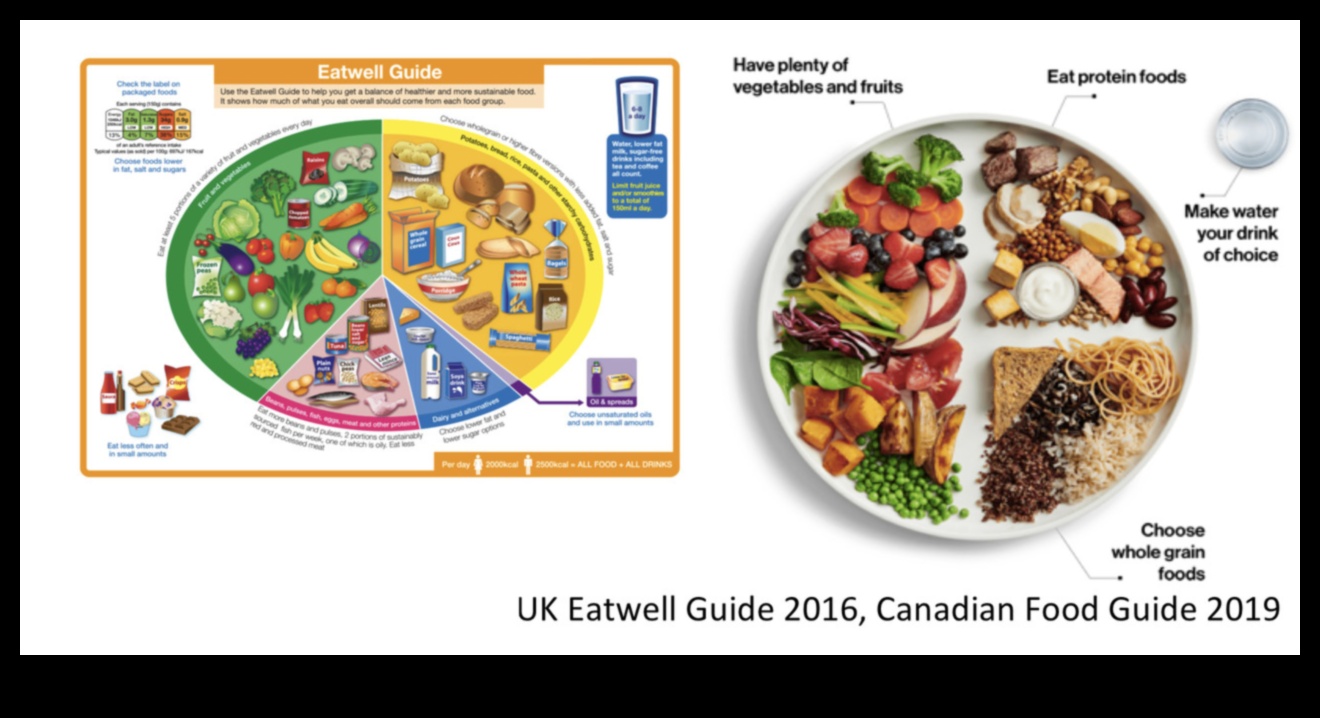 Savurând sănătatea Arta și știința valorii nutriționale 3 Savurând sănătatea: arta și știința valorii nutriționale