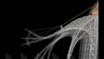 Colectivul cibernetic: împletirea relațiilor în spațiile online