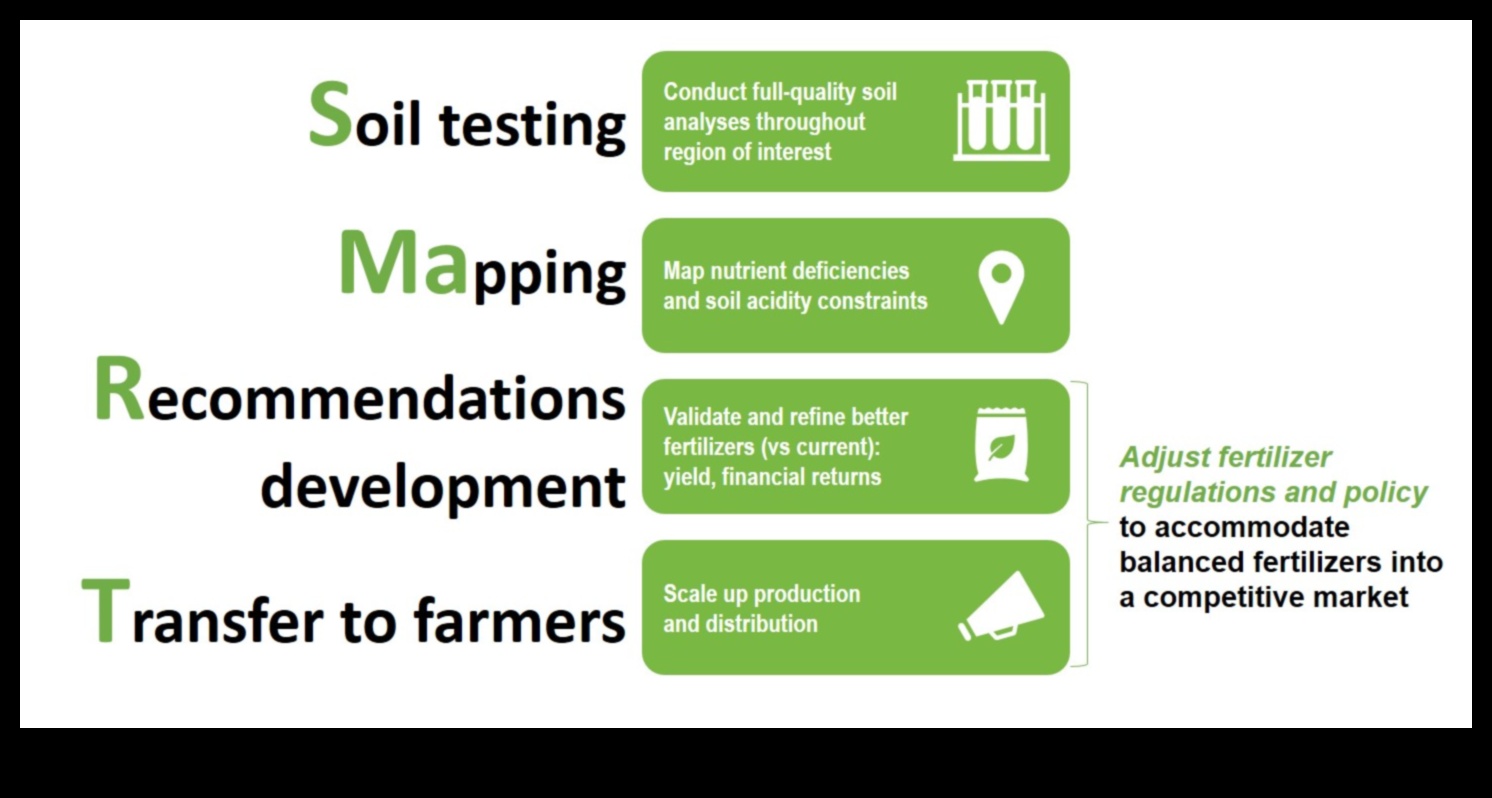 Construirea rezilienței: strategii pentru combaterea deficitului de nutrienți