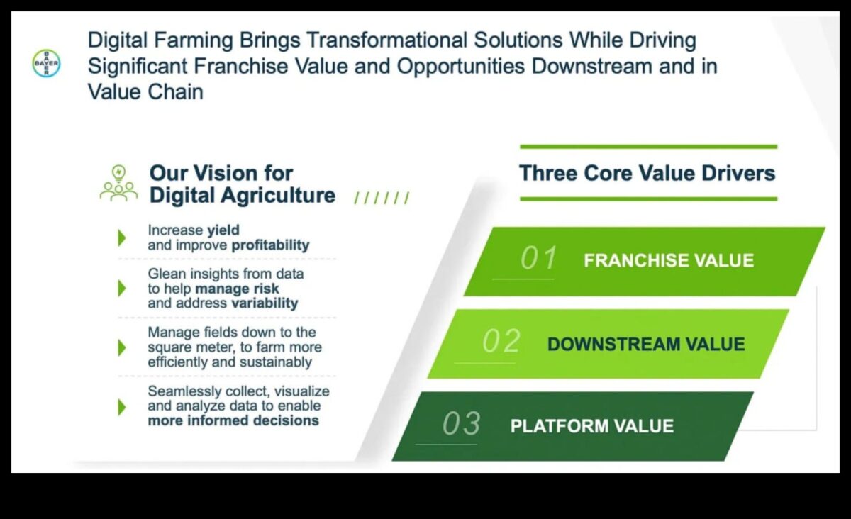 De la viziune la valoare: dezlănțuirea puterii perspectivă a afacerii