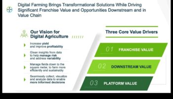 De la viziune la valoare: dezlănțuirea puterii perspectivă a afacerii