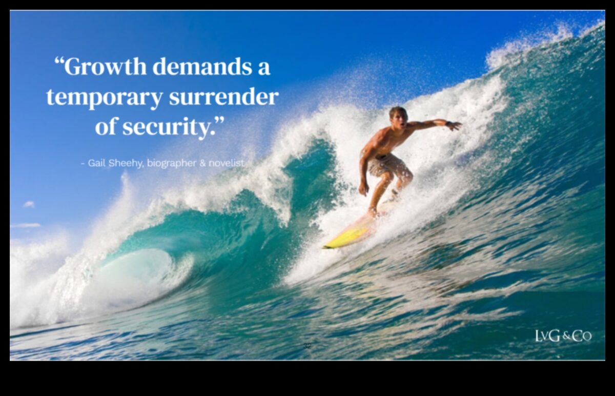 Surge în management: navigarea în dinamica excelenței în afaceri