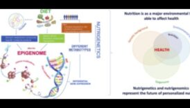Revoluția genetică: Nutrigenomics dezvăluit