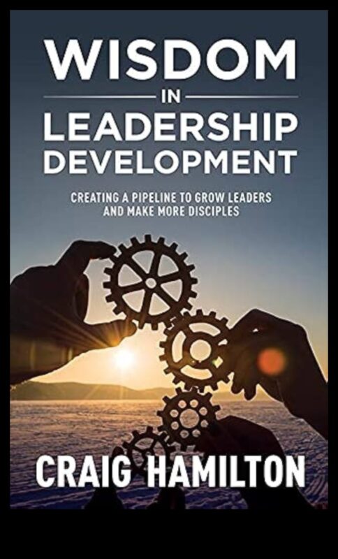 Soluții de leadership: navigarea în peisajul afacerilor cu înțelepciune